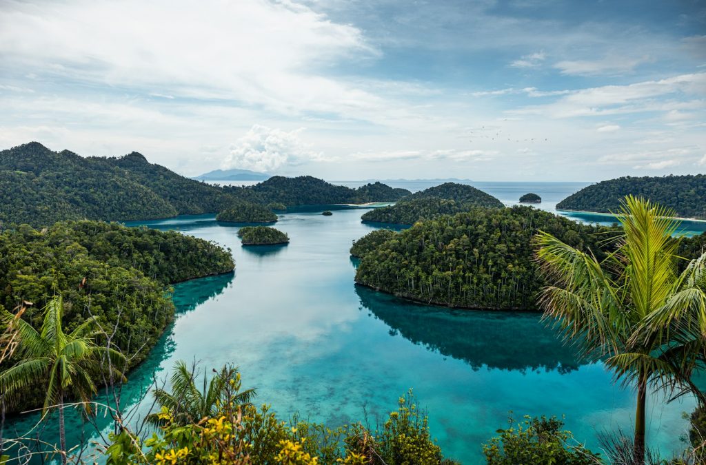 About Raja Ampat Investment Intelligence & Our Editorial Standards
