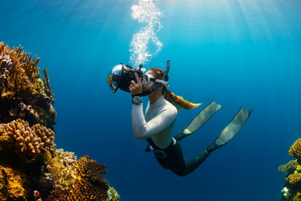 Which KBLI Codes for a Dive Resort, Liveaboard & Restaurant PT PMA?
