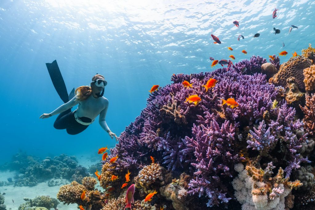 How to Lease Adat (Tanah Adat) Land for an Eco-Resort in Raja Ampat