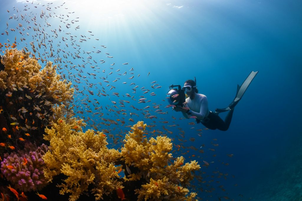 Why Indonesian Nominee Shareholders Are a Trap for Land & Business