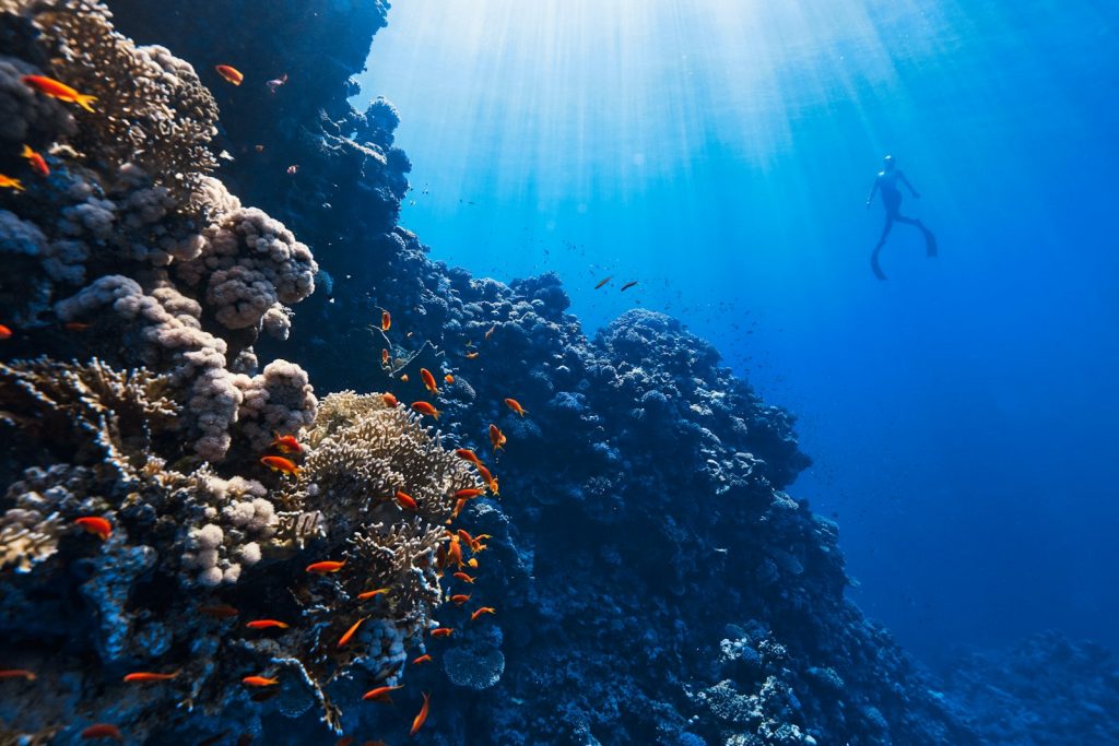 Operating Costs for an Off-Grid Resort in Raja Ampat