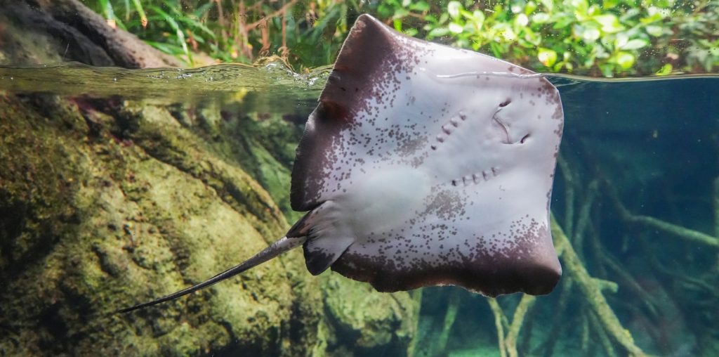 Activities Prohibited for Tourism Businesses in the Raja Ampat MPA
