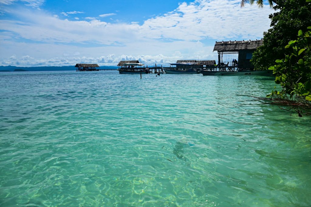 The Risk of Investing on Customary Land in Raja Ampat