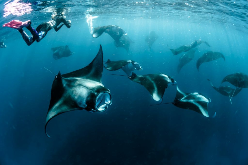 What Is Sasi in Raja Ampat and How It Limits Coastal Access